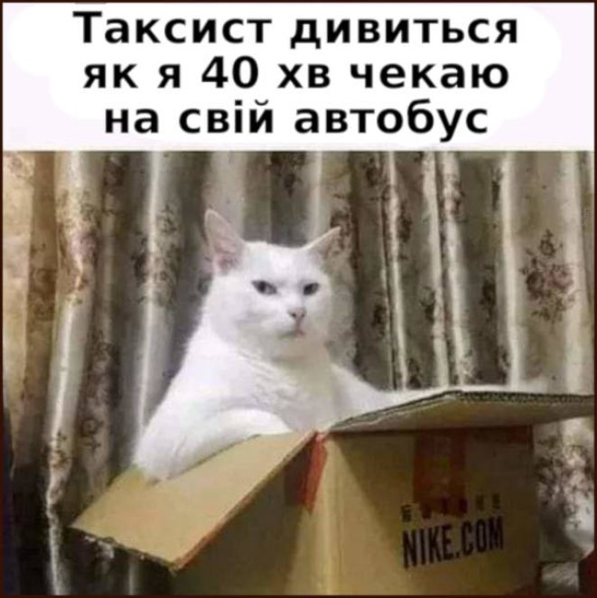 Смішні картинки з Днем таксиста