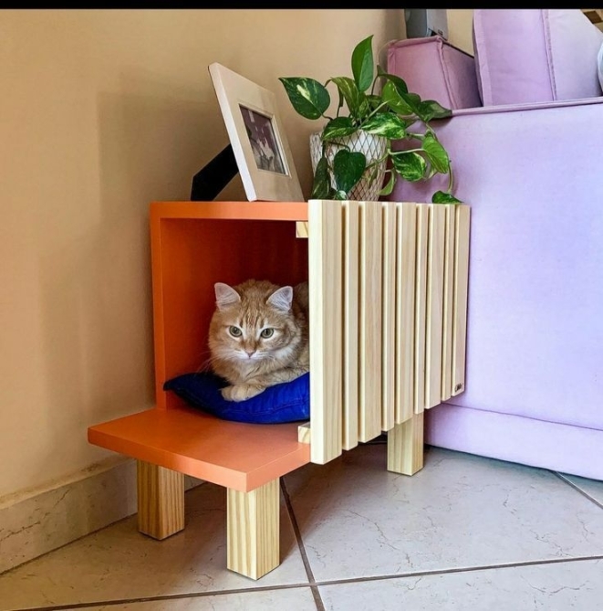 Коты — украшение интерьера: нестандартные варианты мебели для людей и животных (ФОТО) - фото №2