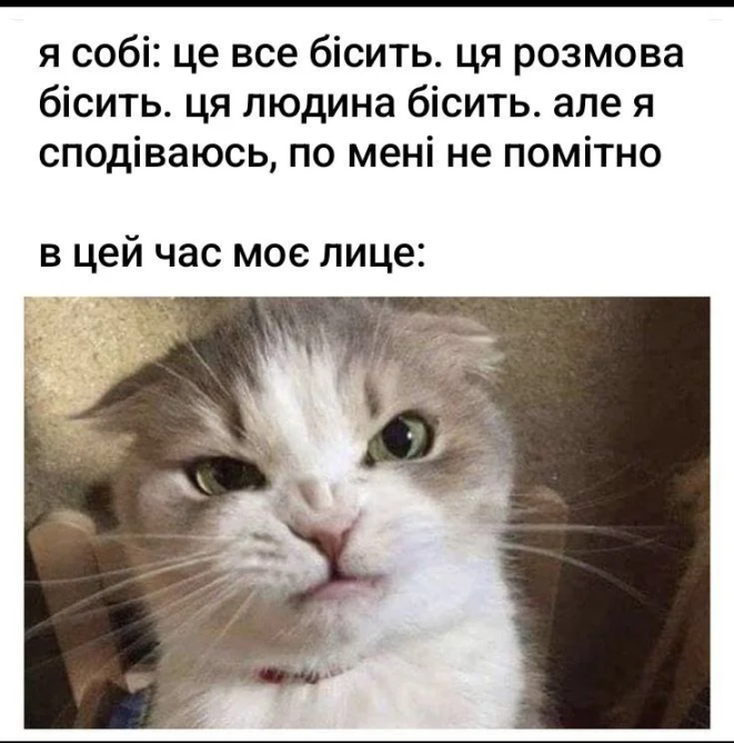 Подборка лучших мемов и приколов в картинках