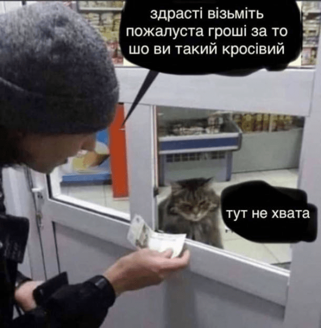 Кумедні картинки та меми про котів