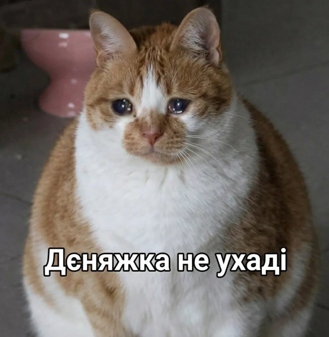 Приколы о финансах и расходах