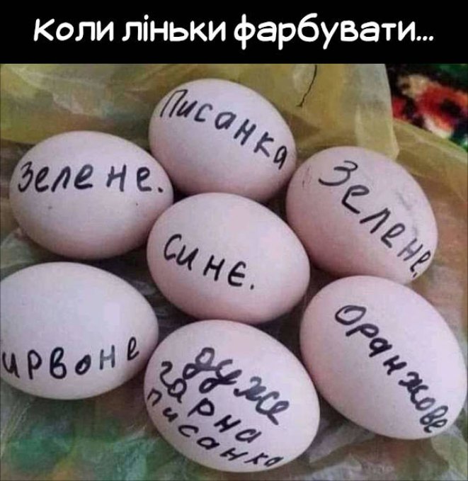 Смешные картинки и шутки о яйцах