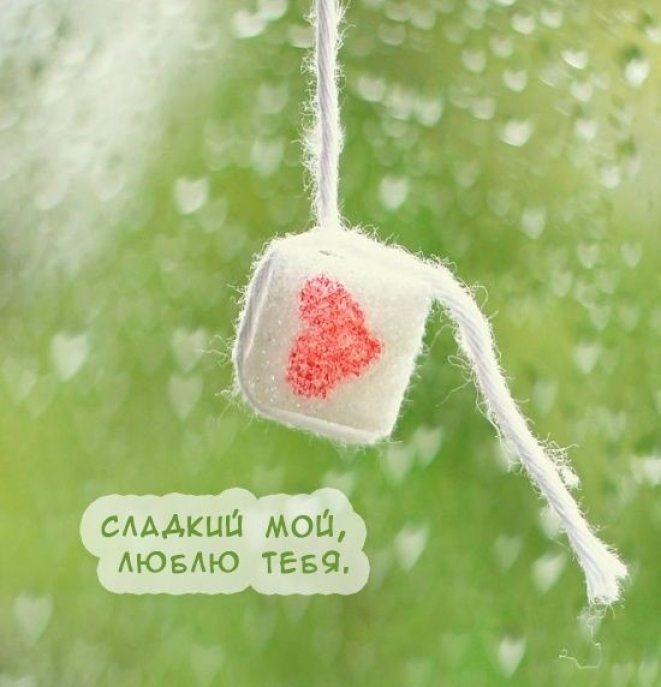 Комплименты и теплый привет: романтические сообщения любимым и красивые открытки - фото №6