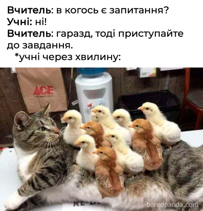 Смешные шутки об учителях