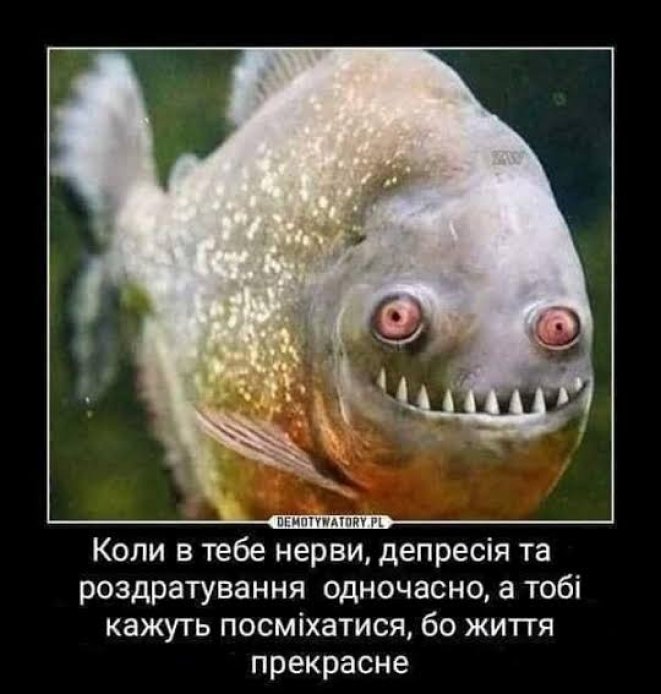 Приколы и мемы о нервах