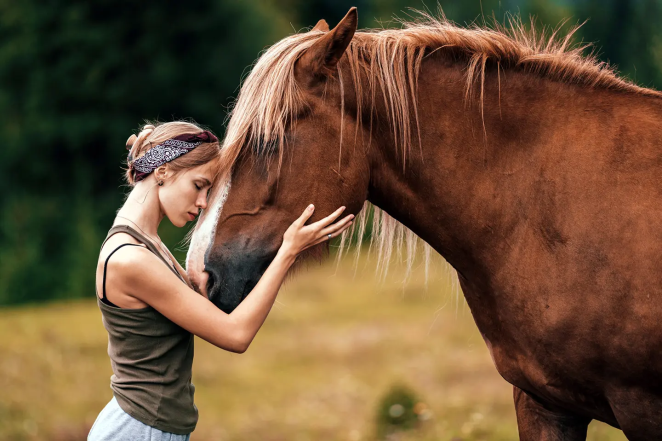 Цікаві факти про коней