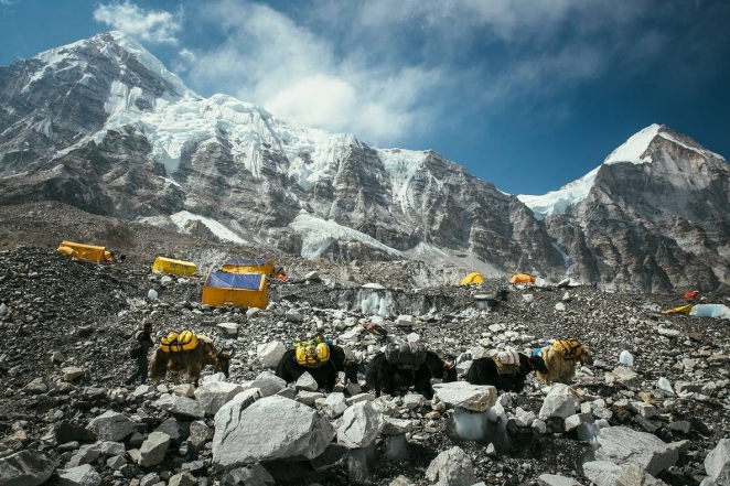 Здесь были настоящие свиньи: горы грязи на Эвересте просто поражают. Их оставили туристы (ФОТО) - фото №4