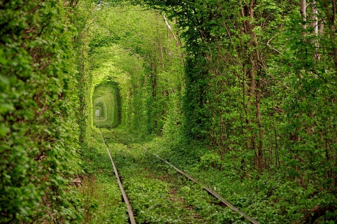Тунель кохання в Україні фото