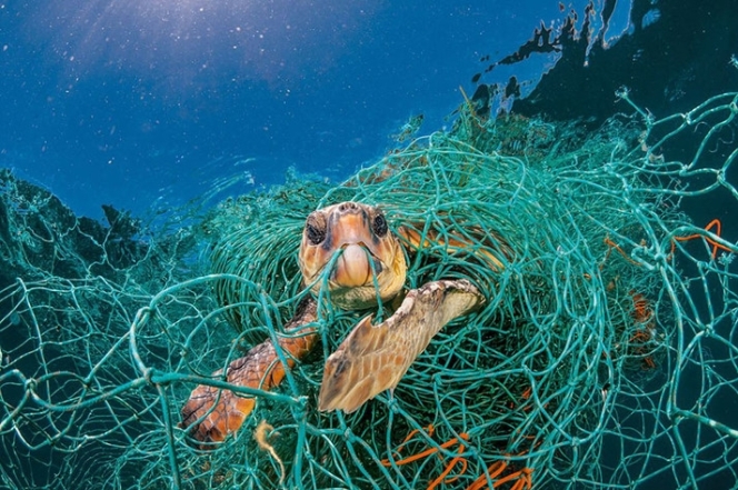 Пугающие цифры: ученые обнаружили 200 миллионов тонн пластика в Атлантическом океане - фото №1