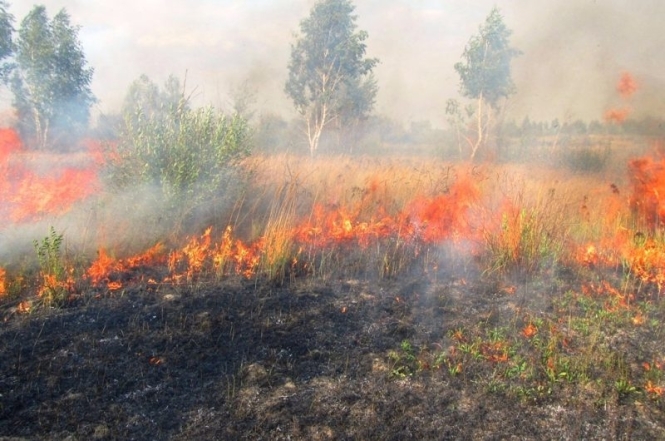 опасность пожаров в украине