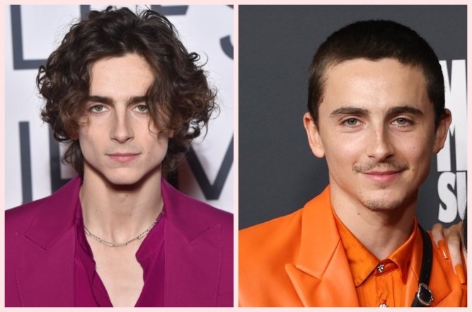 Тимоти Шаламе изменился, фото