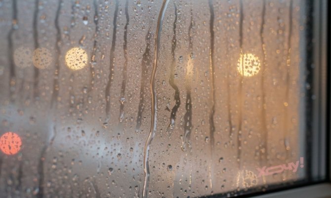 Дешево и максимально эффективно: зачем опытные хозяйки расставляют соль у окон