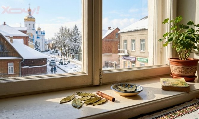 Аромат счастья за копейки: как превратить обычный подоконник в источник свежести