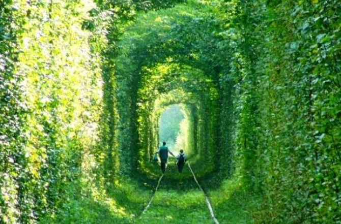 Цікаві факти про "Тунель кохання": що зробило його відомим на цілий світ - фото №3