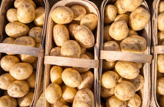 Правила посадки картоплі