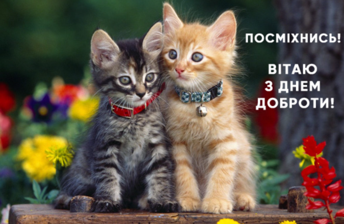 міжнародний день доброти