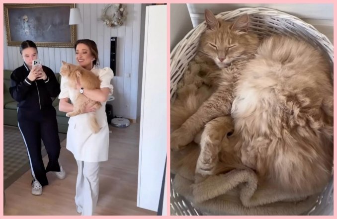 Наталья Могилевская и ее кот, фото