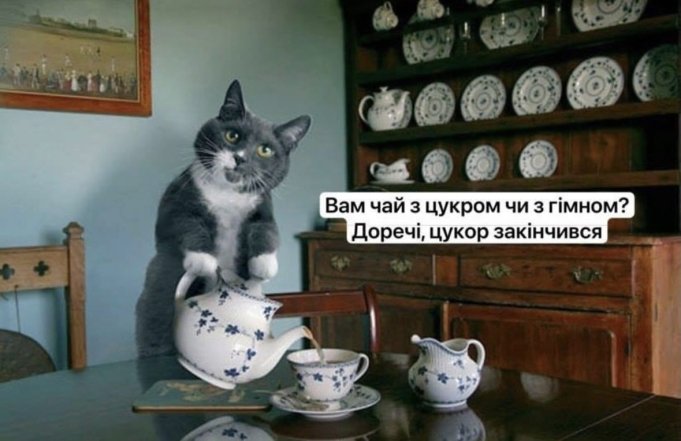 Шутки и мемы о буднях