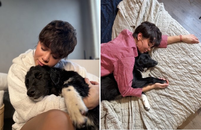 Домашній улюбленець Ліди Лі - як виглядає пес ЛуЛу