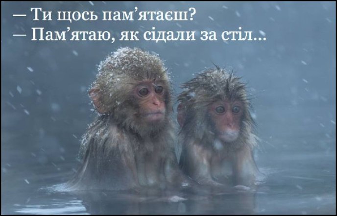 Шутки и мемы об утре 1 января