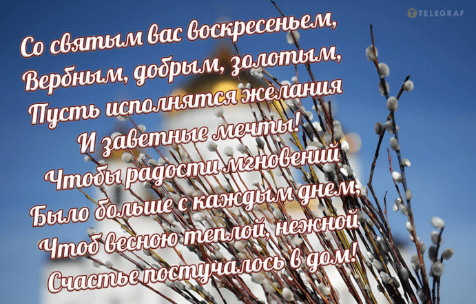 с вербным воскресенье картинки