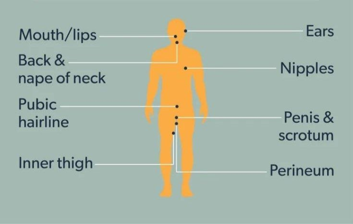 ерогенні зони чоловіків
