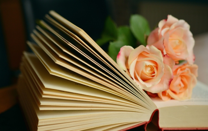 Книга и розы, фото