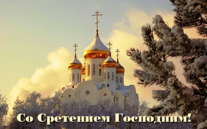 Трогательные пожелания и яркие открытки для родных