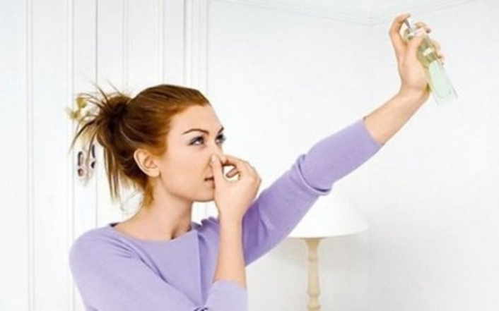 Навязчивый "душок" в квартире можно убрать раз и навсегда: как избавиться от запаха старости в доме - фото №1
