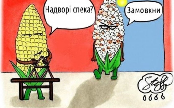 Меми, приколи, анекдоти і жарти про спеку влітку