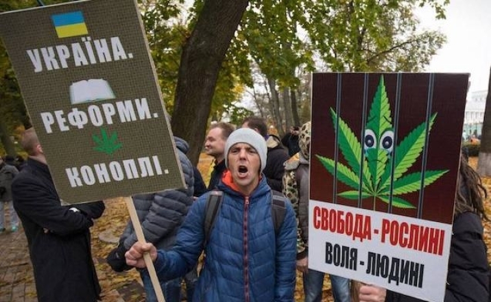 В Украине легализировали медицинский каннабис - фото №2