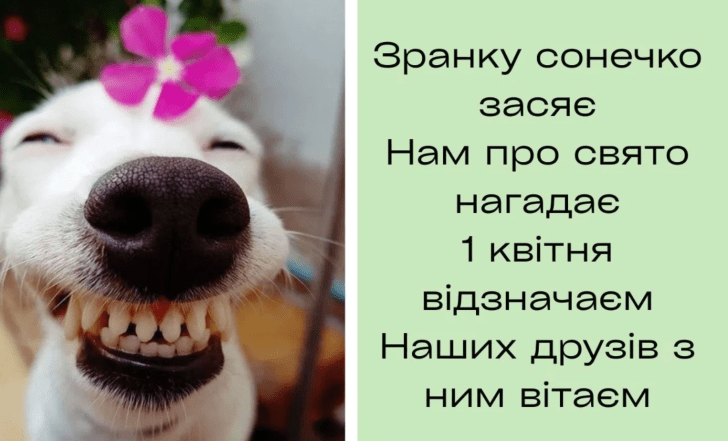 картинки с 1 апреля