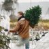 За сколько дней покупать елку: эксперты назвали лучшее время