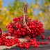 Старый проверенный рецепт: как приготовить восхитительное домашнее вино из калины
