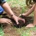 Обязательно высадите эти растения в ноябре 2026 года: пока земля теплая