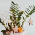 Как безопасно украсить комнатные растения к Новому году: идеи для "домашних джунглей" на праздники (ФОТО)