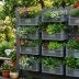 Перетворять ділянку на картинку з Pinterest: корисні саморобки з пластикових ящиків для дачі (ФОТО)