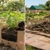 Огородники готовы сражаться за этот мусор: 3 идеи использования бумажных коробок на грядках
