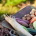 Почистите ведро картофеля и моркови в считанные минуты: 3 гениальных лайфхака для каждой хозяйки