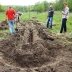 Секрет украинского изобретателя для рекордных урожаев: как сделать теплые грядки Розума (ФОТО, ВИДЕО)