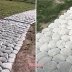 Просто, долговечно и без лишних трат: как быстро сделать стильную садовую дорожку из пакетов и цемента
