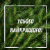 Короткие новогодние поздравления и пожелания, чтобы поздравить и растрогать дорогих людей