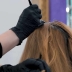 Як зробити мелірування вдома: треба тільки щітка для волосся і фарба (ВІДЕО)