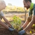 Щоб не розоритися на садівництві: лайфхаки, які заощадять кошти на городі