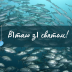 Всесвітній день рибальства: атмосферні привітання рибалкам у віршах та прозі українською