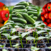 Підійде для томатів, перців та огірків: універсальне підживлення для рослин, яке збільшить врожай в рази