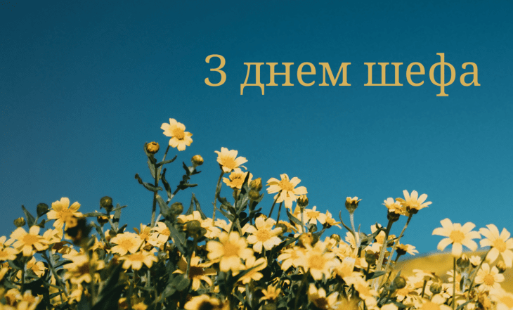 день шефа