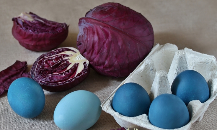 Як пофарбувати яйця капустою
