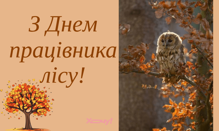Вітання з Днем працівника лісу 2025