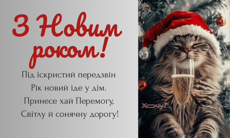 Поздравление с Новым годом 2026